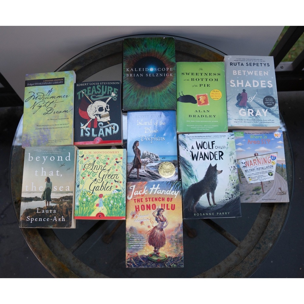 Lot of 11 - Young Adult Books Treasure Island Anne of Green Gables Shakespeare